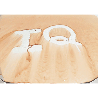 Wax & Polish Damp Wipe